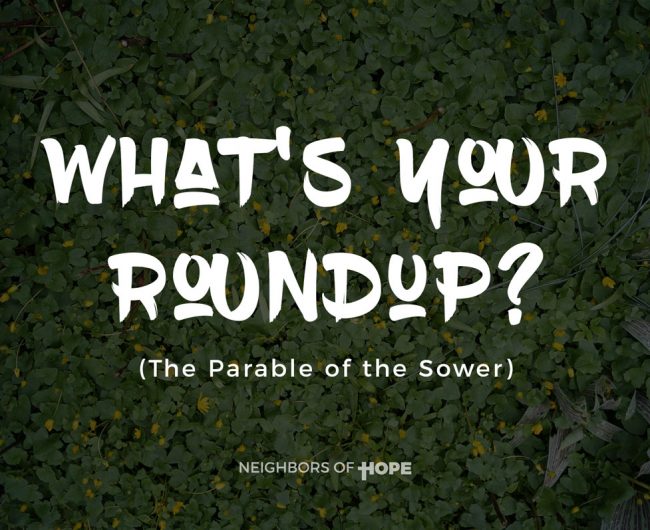 What's Your Roundup?