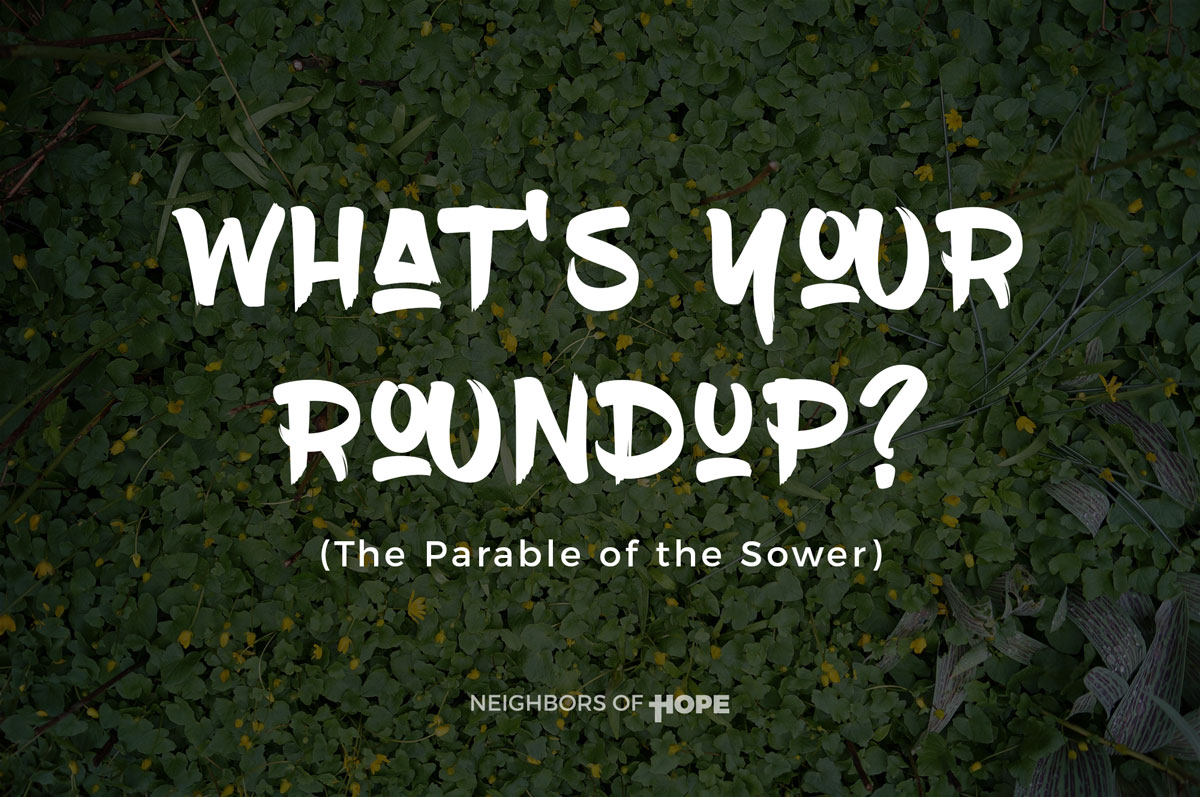 What's Your Roundup?
