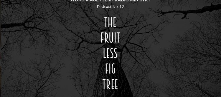 The Fruitless Fig Tree