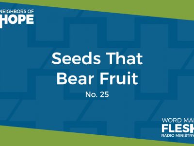 The Seeds that Bear Fruit