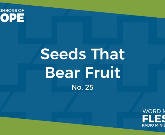 The Seeds that Bear Fruit