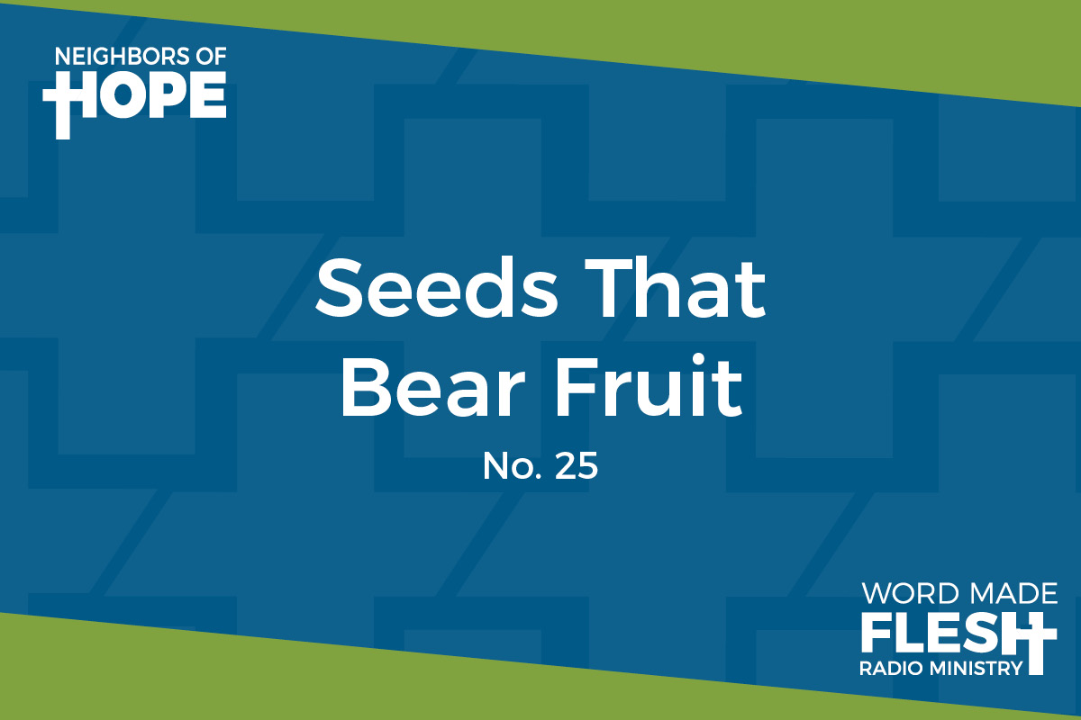The Seeds that Bear Fruit